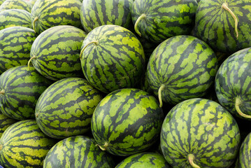 Water melon sell in the fruit store in the market