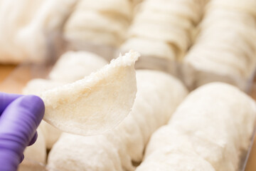 Hand hold Fresh raw edible bird nest with glove