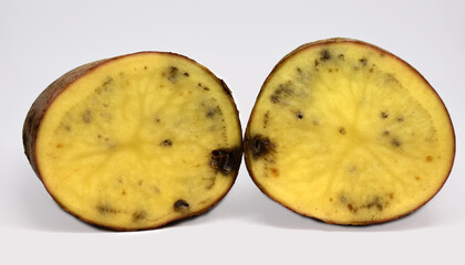 a cut of a potato tuber with black spots and streaks. The texture of a diseased potato tuber. Unsuitable for use in food and for planting. Selective focus. Dirty background
