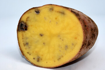 a cut of a potato tuber with black spots and streaks. The texture of a diseased potato tuber....