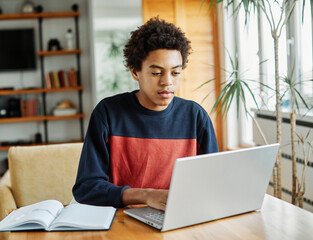 education laptop student computer teenager studying boy learning homework study young school teenage black technology happy internet sitting college online man notebook using