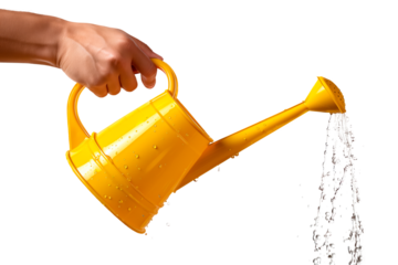 A yellow watering can in hand isolated on a white or transparent background. Water splashes and droplets pour out of the watering can. Watering plants and flowers, gardening equipment.