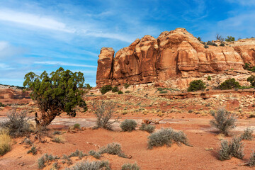 A beautiful rocky mountain in the Canyonland National park