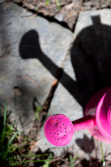Eine pinke Giesskanne im Garten © Martin