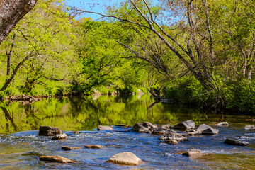 river in the rock creek washington dc