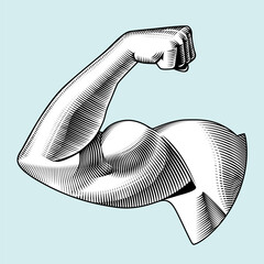 Muscular male bodybuilder's arm bent at the elbow showing biceps. Drawing in vintage black and white engraving style. Vector illustration.