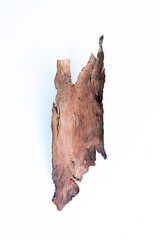 Flatley of tree bark pieces, dry leaves and flowers