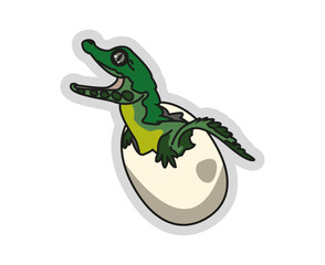 Bebé Cocodrilo de Río