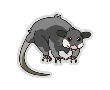 Tlacuache Norte&ntilde;o