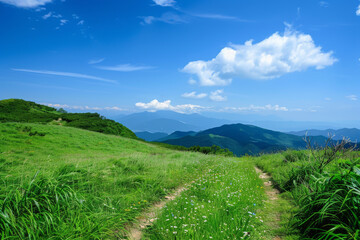 Fototapeta premium A beautiful, open field with a clear blue sky and a few clouds. The sky is so clear that it almost looks like a painting. The grass is lush and green, and the field is dotted with wildflowers