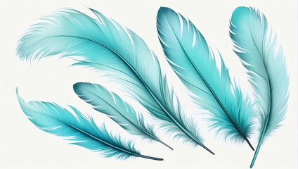 Beautiful Abstract Light Turquoise Feathers on White Background