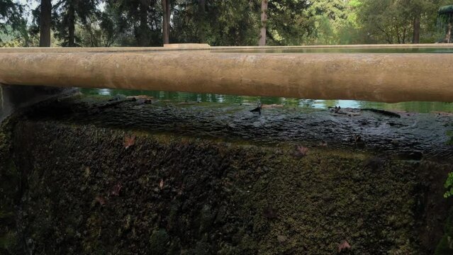 A bridge over a body of water with a greenish tint