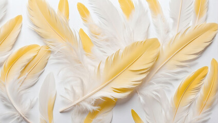 Beautiful Abstract Light Yellow Feathers on White Background