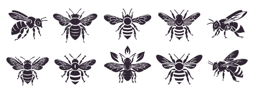 Set of honey bee for honey product package and logotypes. Simple vector bee silhouettes isolated on white background
