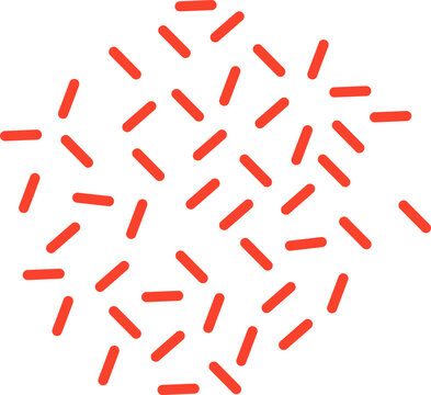 Propionibacterium probiotics