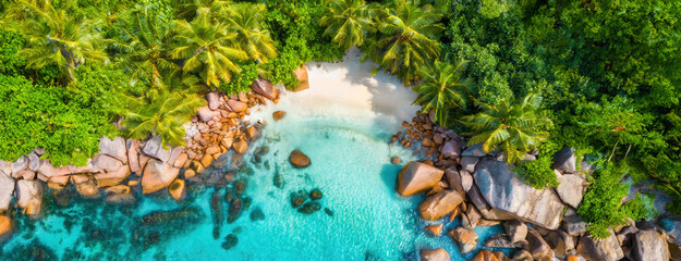 Tropical haven with crystal waters enclosed by lush greenery. Pristine beach paradise encircled by verdant foliage beckons tranquility. Panorama with copy space.