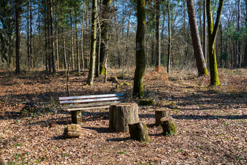 Sitzplatz mit Bank und Holzstämmen im Wald bei Iffezheim