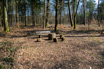 Sitzplatz mit Bank und Holzstämmen im Wald bei Iffezheim