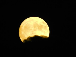Yellow Moon  with black cloud drifting across the bottom