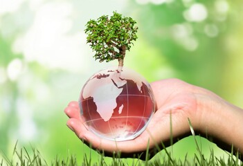Hand of human with Crystal globe on nature background