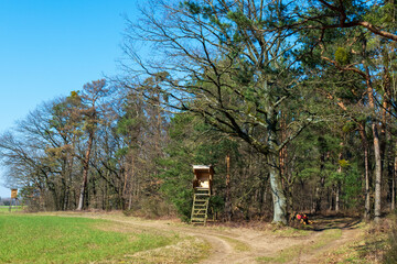 Hochsitz aus Holz im Wald am Feldrand von Hügelsheim