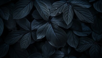Black leaves on patterned fabric, dark background, mysterious atmosphere, soft lighting, elegant curves, elegant design