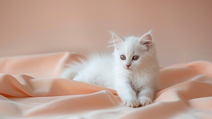 Portrait of a Pure White Kitten Lounging Elegantly on a Soft Peach Background,