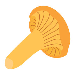 Chanterelle illustration. Edible chanterelle mushrooms. Yellow mushroom. Hand drawn trendy flat style. Doodle autumn forest harvest. Vector illustration