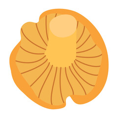 Chanterelle illustration. Edible chanterelle mushrooms. Yellow mushroom. Hand drawn trendy flat style. Doodle autumn forest harvest. Vector illustration - obrazy, fototapety, plakaty