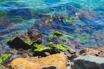 Rocky shoreline with green moss growing in water on the rocks. Scenic calm and clear water, reflection of sky