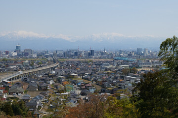 満開の桜春霞の薬師岳北アルプス立山連峰と神通大橋