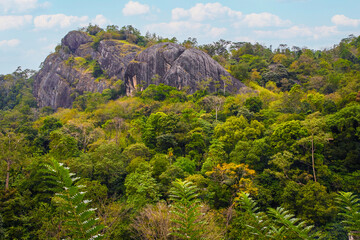Sri Lanka landscapes nature background.