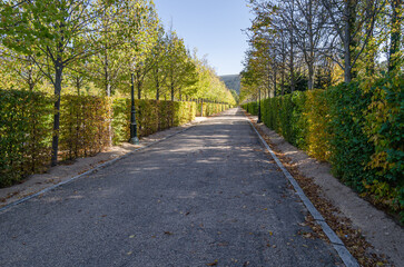 Autumn beautiful natural colors background
