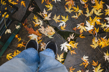 Feet standing among fallen yellow leaves on the ground