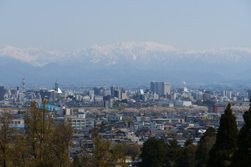 満開の桜春霞の薬師岳北アルプス立山連峰と神通大橋と富山市街地