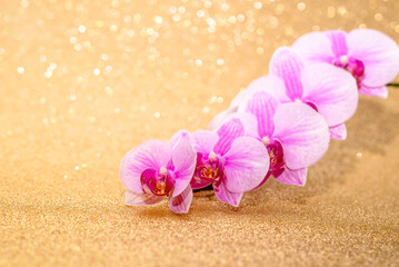 A branch of purple orchids on a shiny gold background
