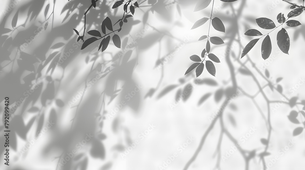 Poster shadow overlay effect isolated on transparent. transparent shadows and light from leaves and branche