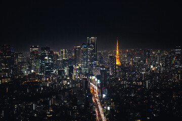 Fototapeta na wymiar Tokyo City Night View