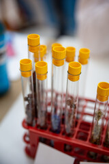 Test tubes with plants toxic biological activity