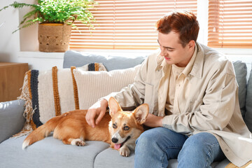 Redhead young happy man with cute Corgi dog resting on sofa at home
