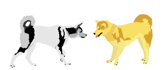 Siberian Husky dog couple in love vector illustration isolated on white background. Beware of dog pet. Dog symbol. Smart canine. Akita Inu against Samoyed.