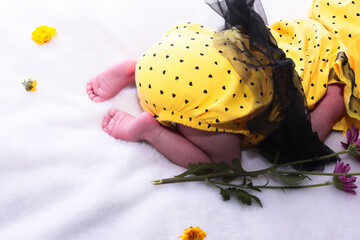 Baby in bee costume, baby girl in yellow bee costume,Mexican-Austrian Baby Girl dress in a bee...