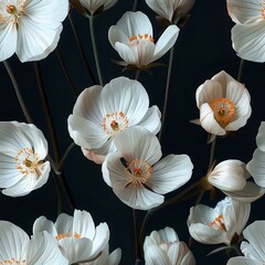 Minimalist Beauty: White Flowers on Black