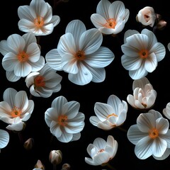 Minimalist Beauty: White Flowers on a Dark Background