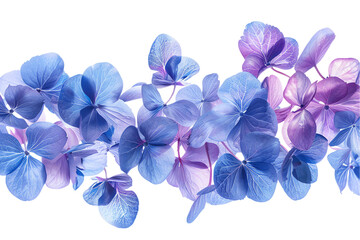 Fototapeta premium A bouquet of blue, purple, and lilac flowers on a isolated transparent background