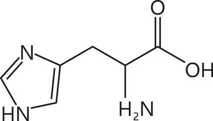 Amino acid chemical molecule of Histidine, molecular formula and chain structure, vector icon. Histidine essential amino acid molecular structure and chain formula for medicine and health pharmacy