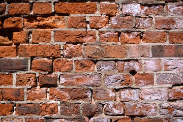 Old grunge brick wall background 6
