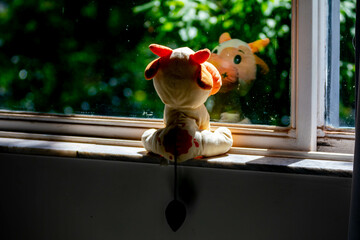 Scenery of meditation and solitude. Lonely toy kitty looking out the window