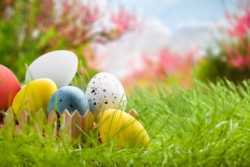 painted colored easter eggs in forest