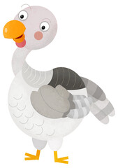 cartoon scene with turkey bird poultry garm animal theme isolated background illustration for children